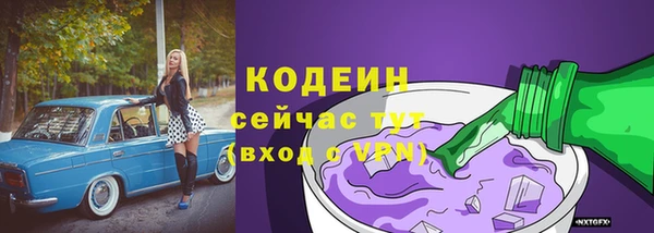 ГАЛЛЮЦИНОГЕННЫЕ ГРИБЫ Арсеньев