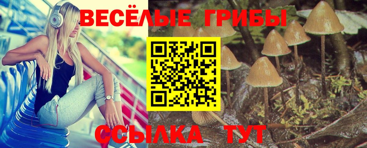 Галлюциногенные грибы мухоморы Ульяновск